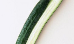 新黄瓜最新爆料图片大全,最新爆料图片大全大揭秘！”