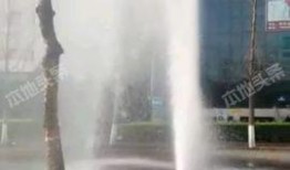 季沙河最新版本爆料,揭秘全新版本核心亮点与升级内容